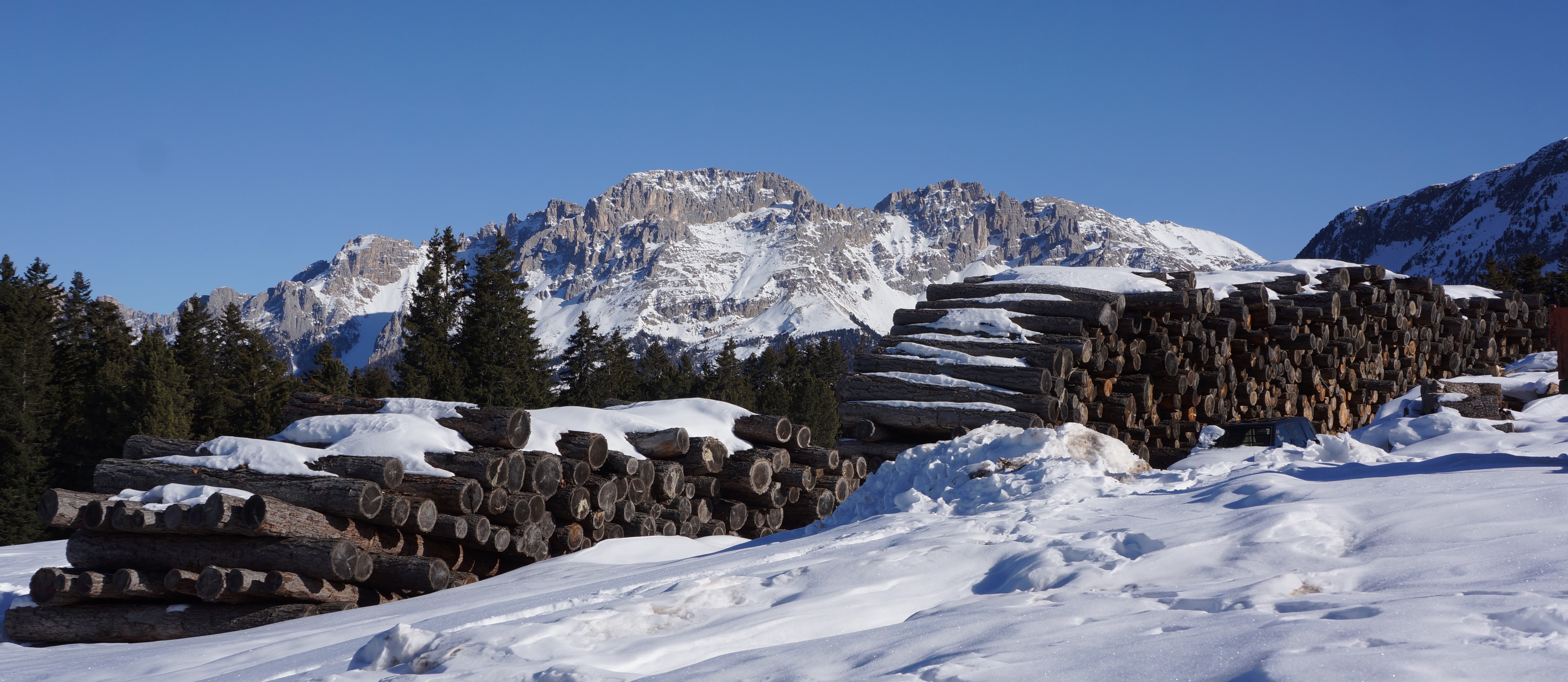 View from Passo Lavazè